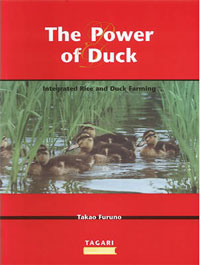 The-power-of-duck.-Integrated-rice-duck-farming.jpg
